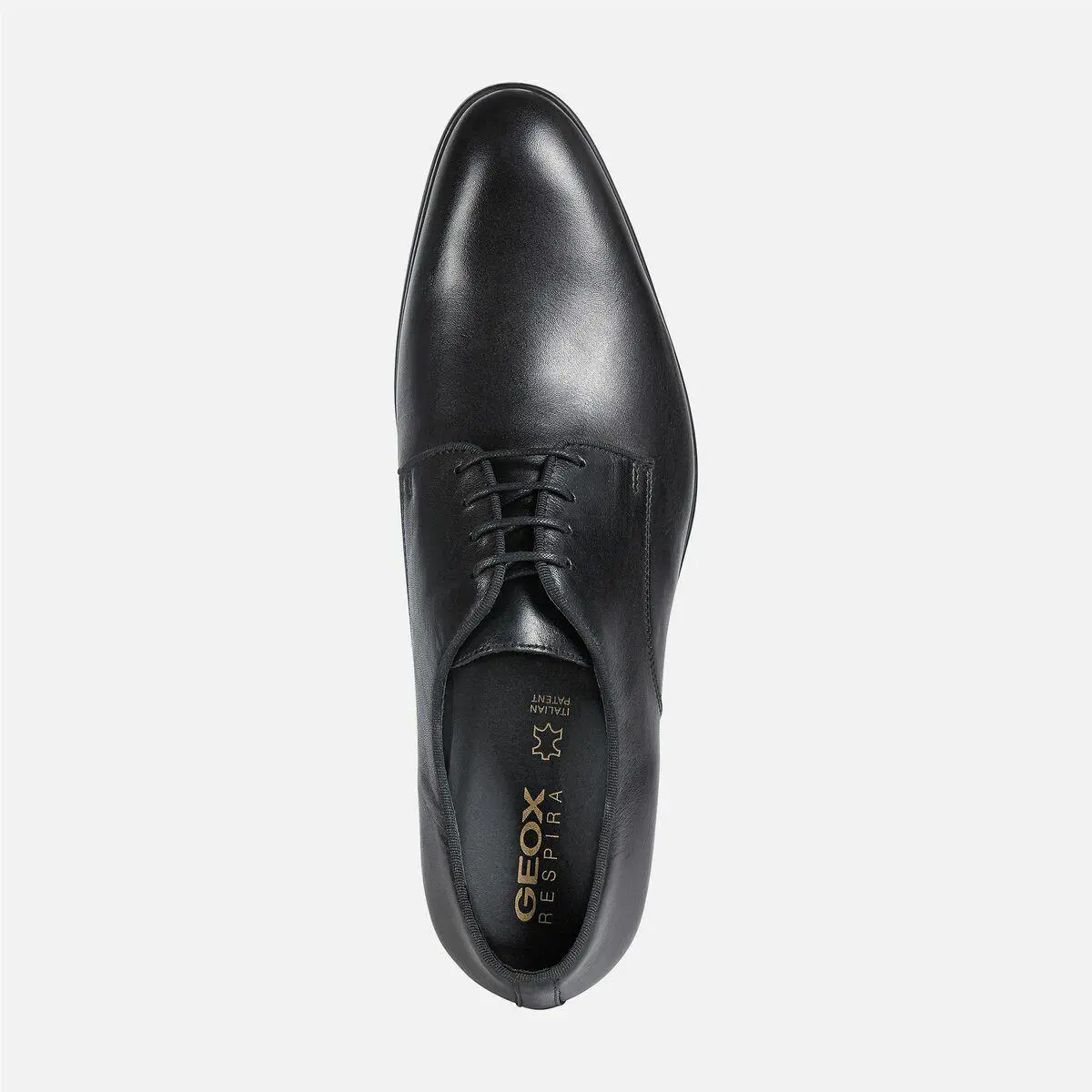 Geox shoes - Oxfords - Oxfords - Black 5