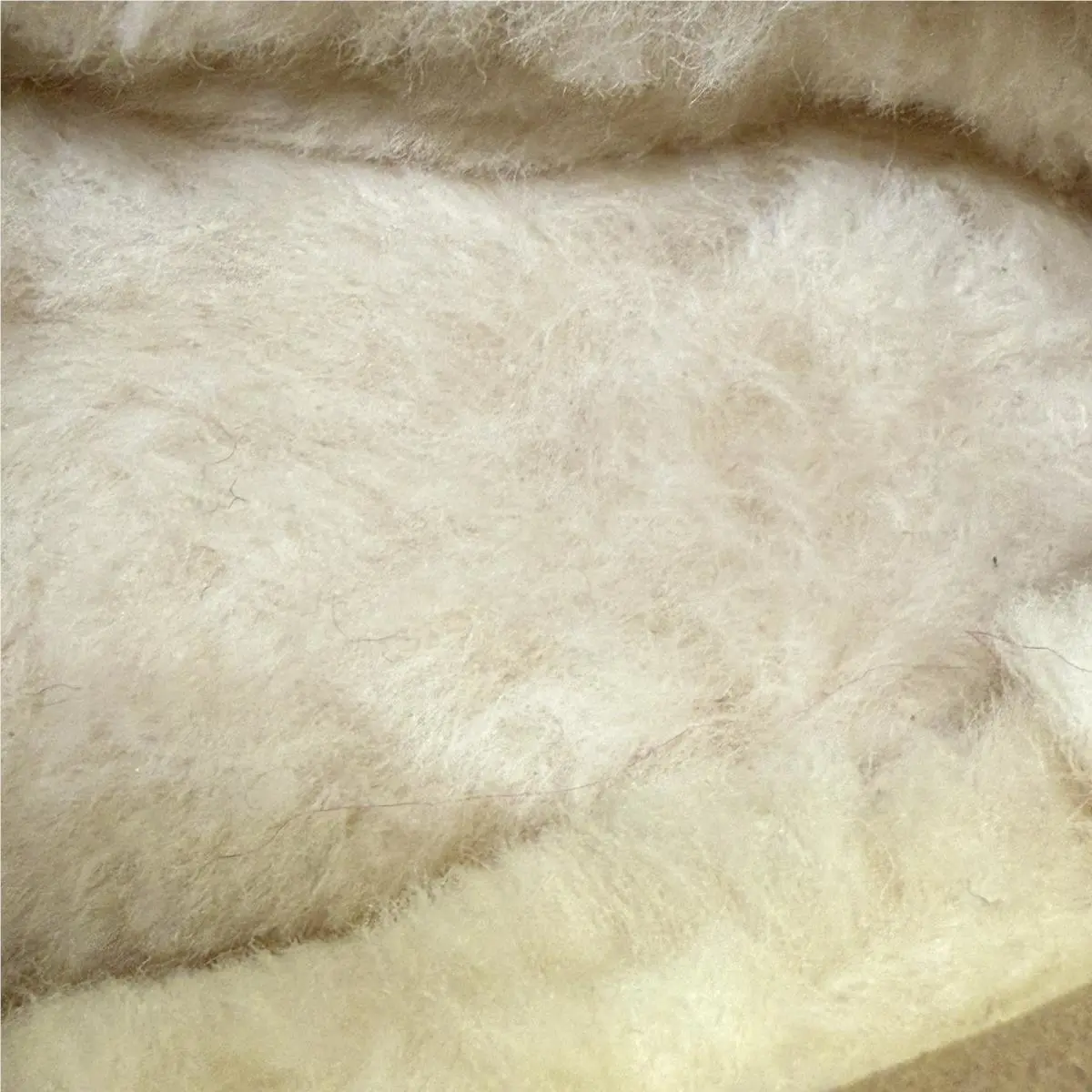 UGG shoes - Ugg Tasman - Tasman - Beige (UPC: 0737872992859) 6