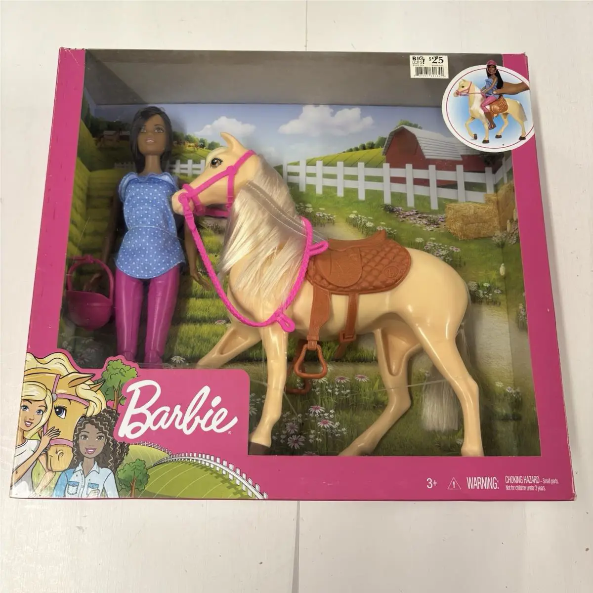 Barbie Doll and Horse Gift Set You Can Be Anything Series 2018 Mattel