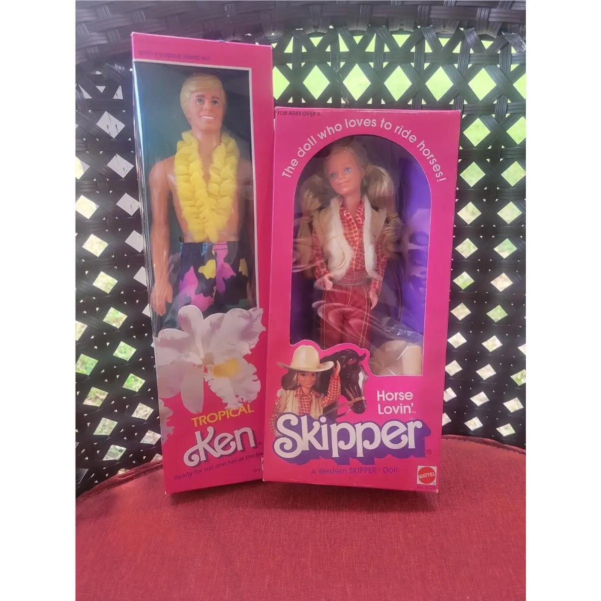 Vintage 1985 Barbie Tropical Ken Doll Skipper in Package B10