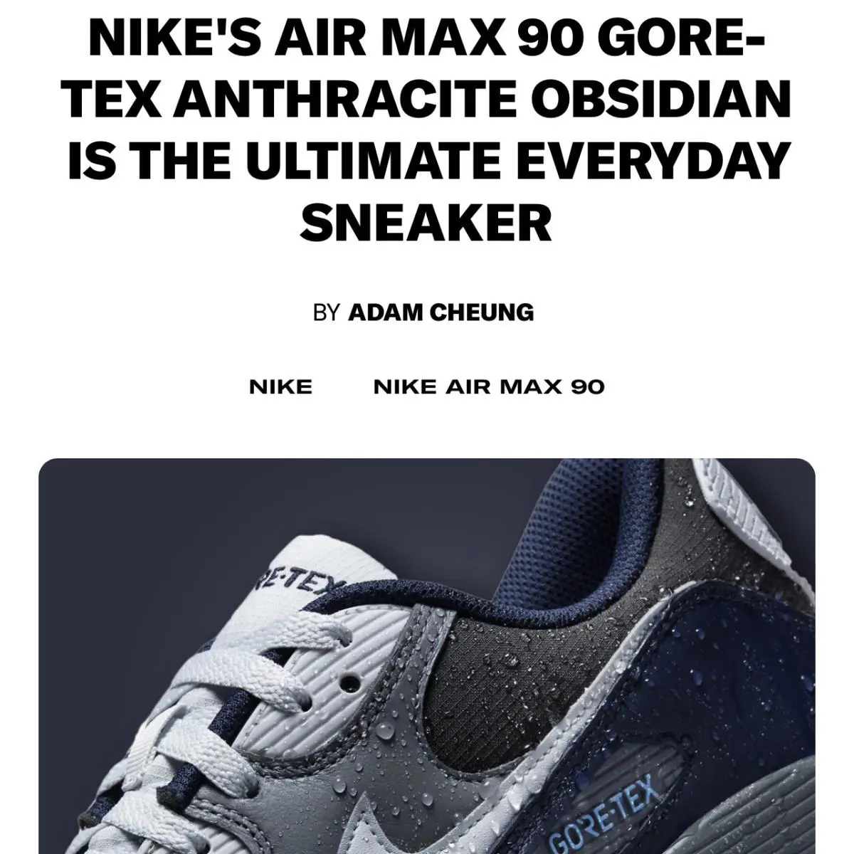 Nike shoes - Nike Air Max 90 - Air Max - Black 32