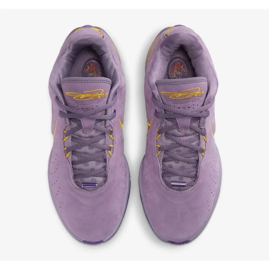 Nike shoes - Nike LeBron 21 - LeBron - FV2345-500 - Purple 2