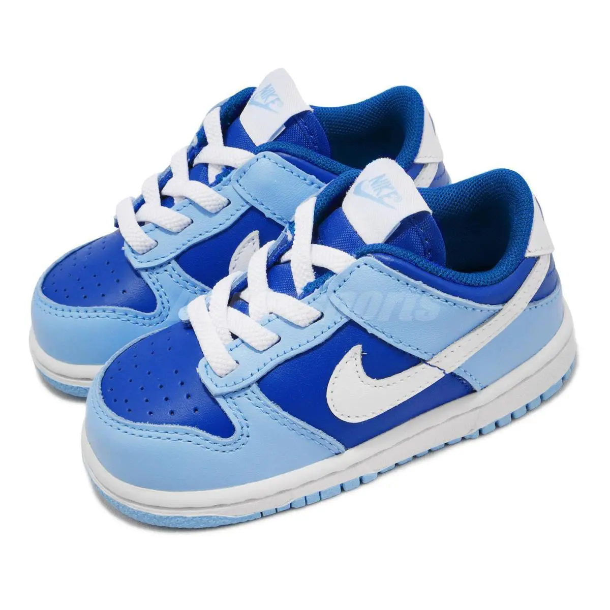 Nike shoes - Dunk Low Retro Qs Tde - Dv2634400 - Blue 1