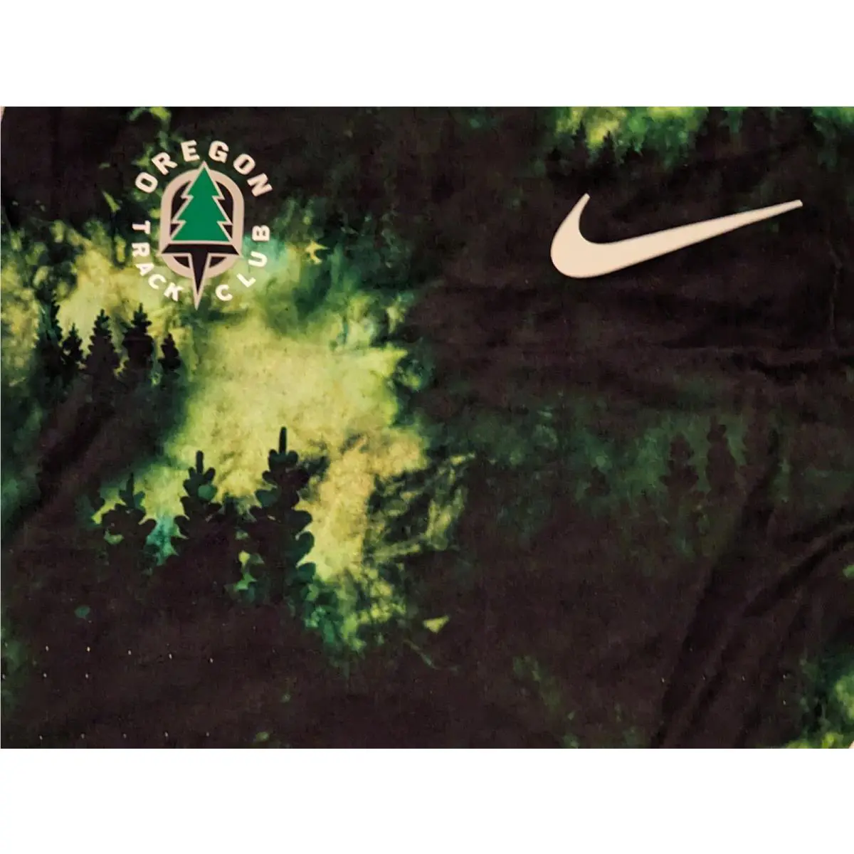 Nike clothing - Nike Dri-Fit - CW1162100 - Green 1