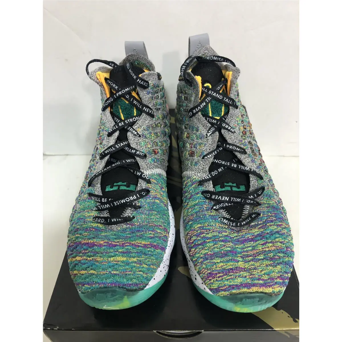 Nike shoes - LeBron XVII - LeBron XVII - CW2761-300 - Multicolor 0