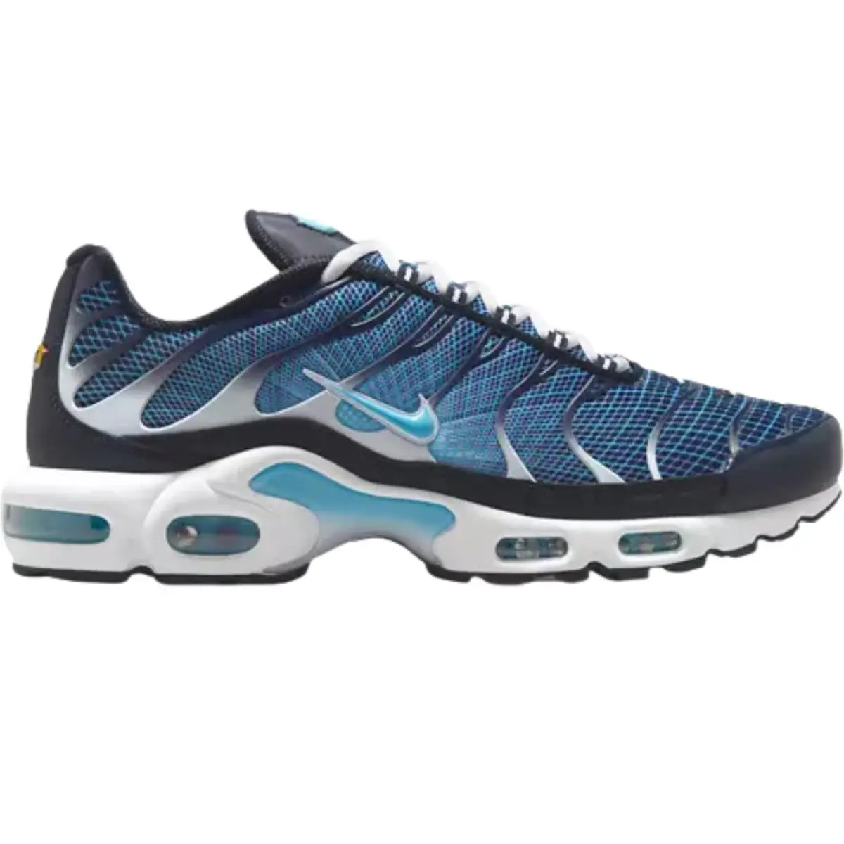 Nike shoes - Nike Air Max Plus - Air Max Plus - Black/Black/Black 19