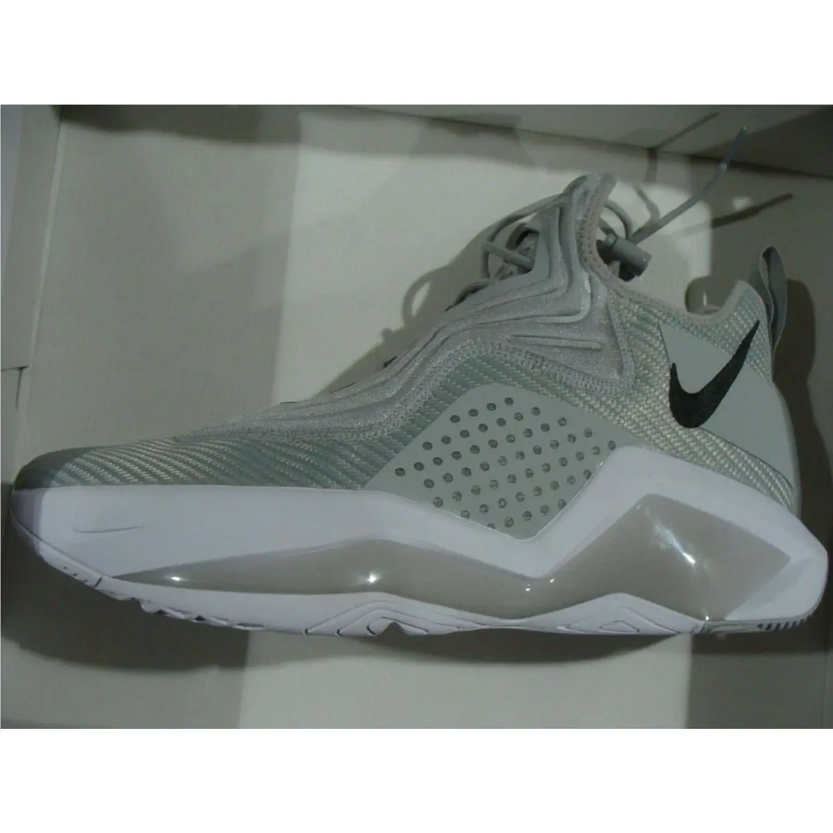 Nike shoes - FLT SILVER/BLACL/WHITE 10