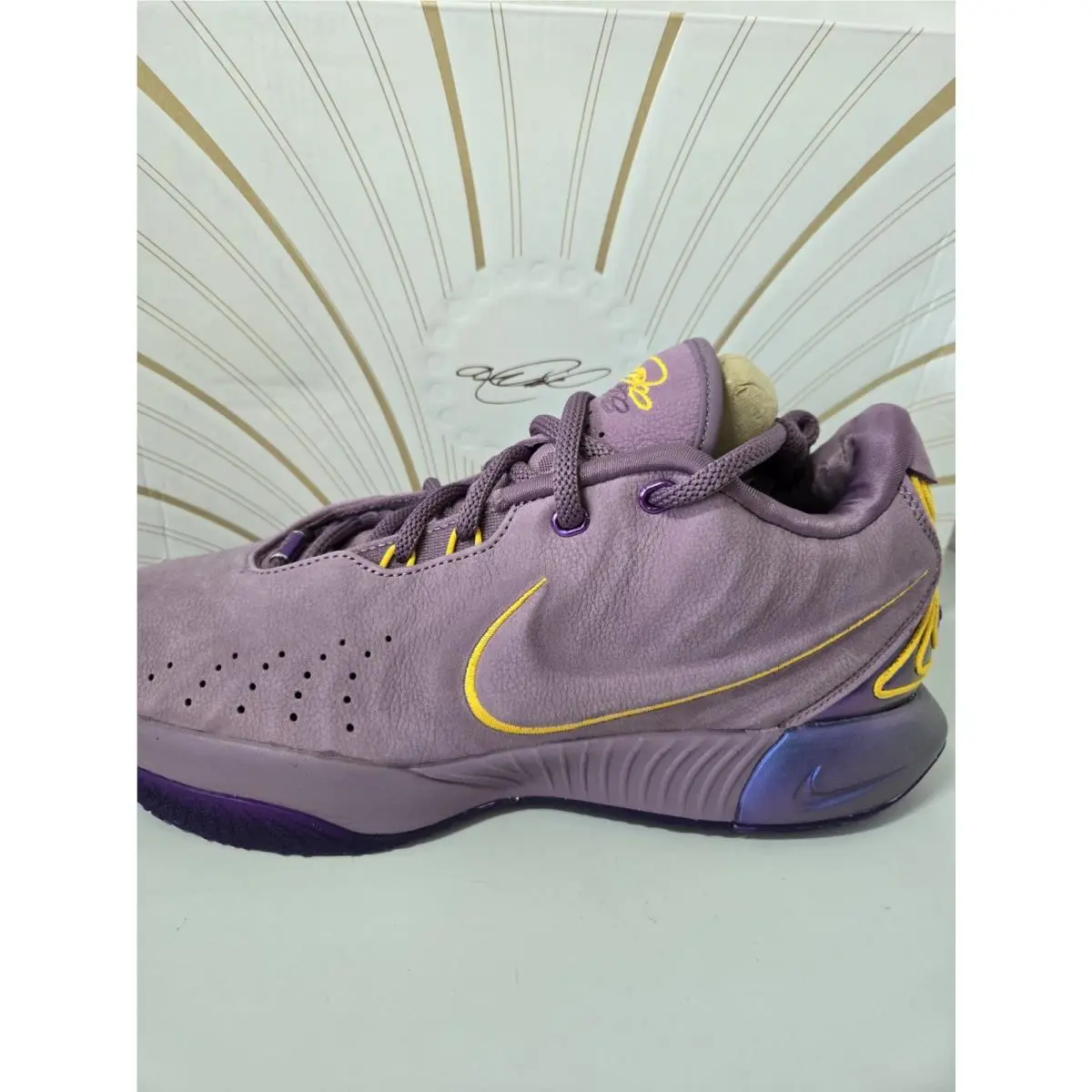 Nike Lebron Xxi 21 Basketball Shoe Purple Rain FV2345-500 Men`s Size 10