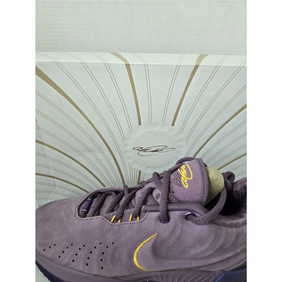 Nike shoes - Nike LeBron 21 - LeBron - FV2345-500 - Purple 1