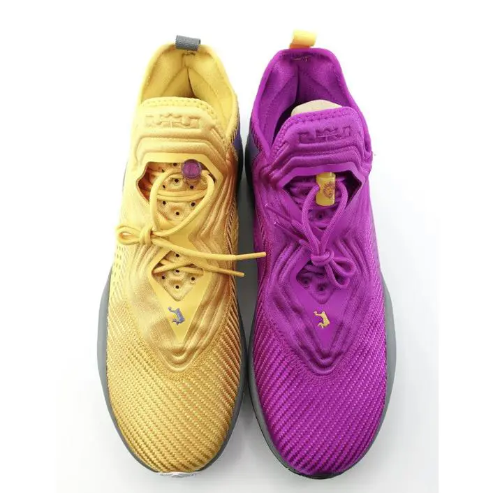 Nike shoes - Nike LeBron Soldier XIV - LeBron Soldier XIV - CK6024-500 - Multicolor (UPC: 0194498083055) 5