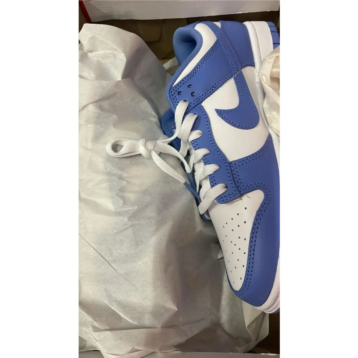 Nike shoes - Nike Dunk - Dunk - DV0833-400 - Blue 1