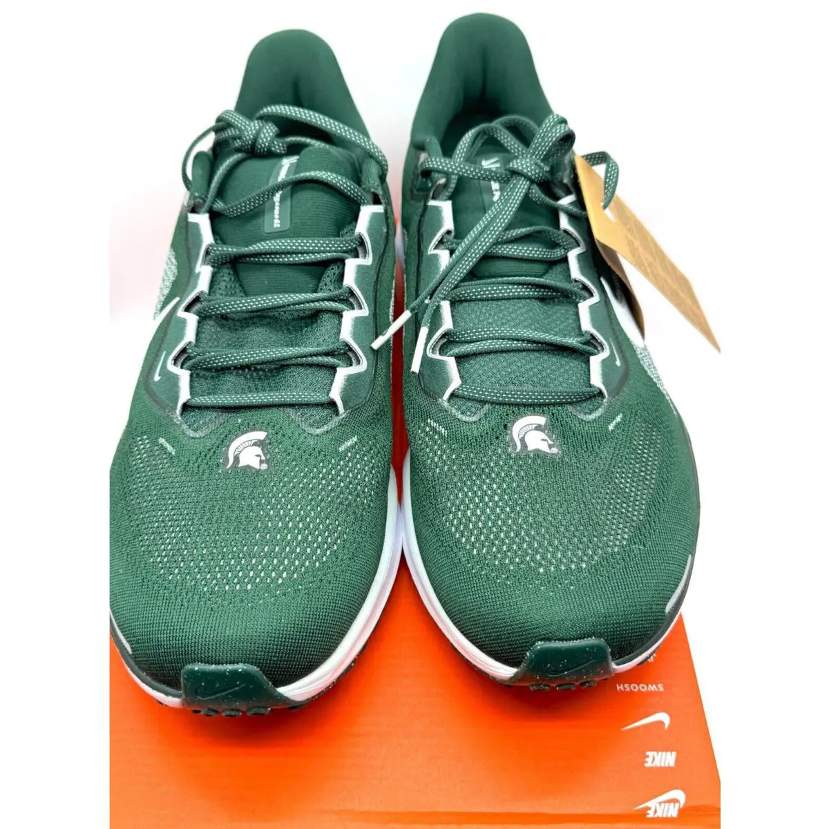 Nike shoes - Nike Air Zoom Pegasus 41 - FZ5127-300 - Green (UPC: 197598666234) 1