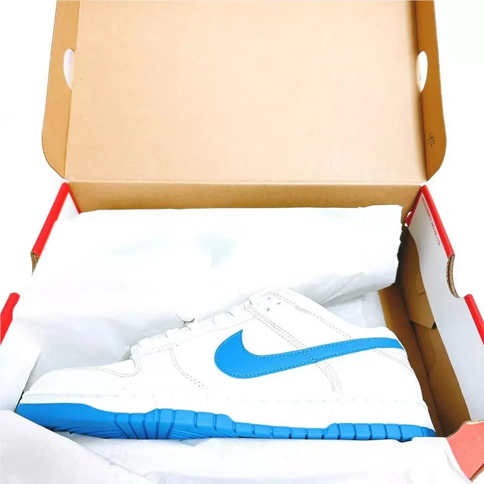 Nike shoes - Nike Dunk Retro Low - Dunk Retro Low - DV0831-108 - Blue 1