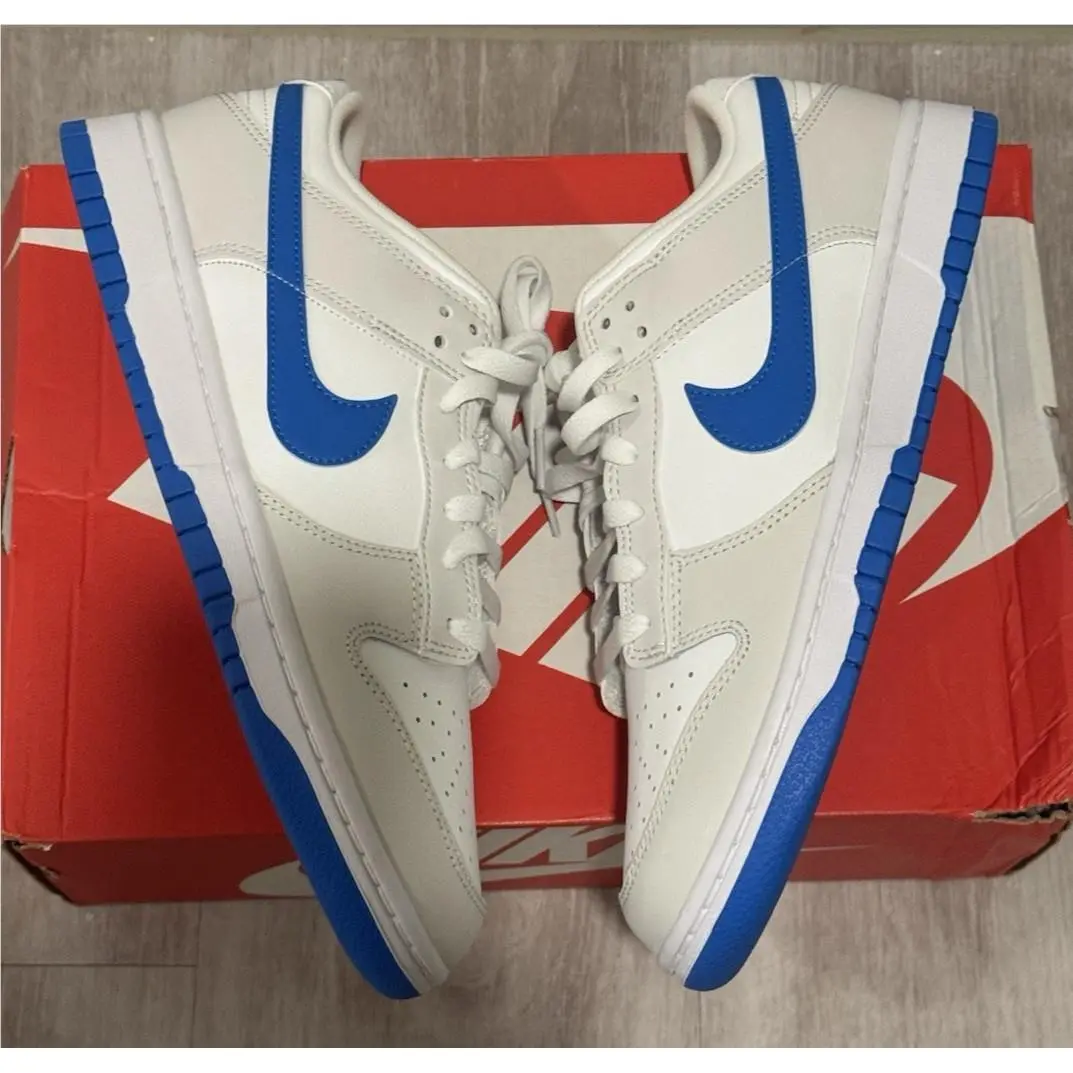 Nike shoes - Nike Dunk Retro Low - Dunk Retro Low - DV0831-108 - Blue 3