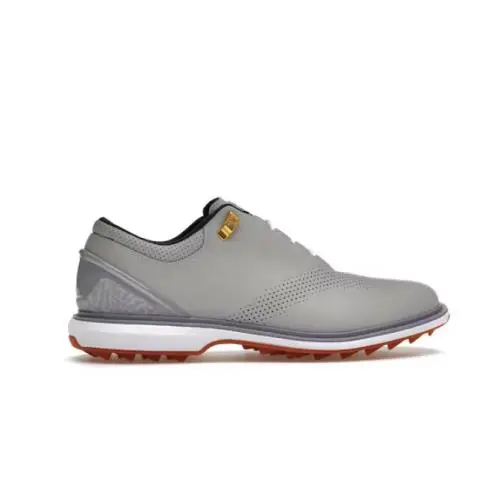 Nike Air Jordan Adg 4 Nrg `eastside Golf` DZ4525-001 Men`s Size 11.5 Shoes - Gray