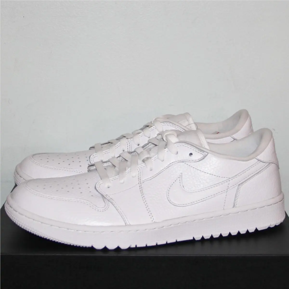 Nike shoes - Air Jordan 1 - Air - DD9315-101 - White (UPC: 0195866232761) 0