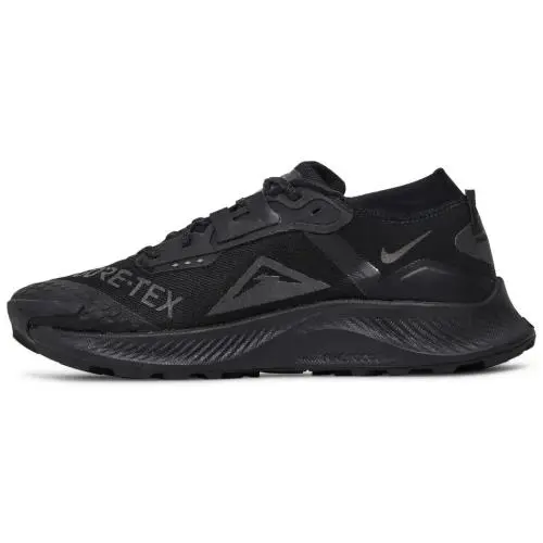Nike shoes - Nike Pegasus Trail 3 GTX - DC8793-001 - Black 0