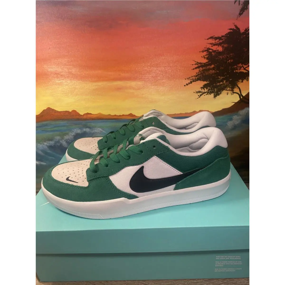 Nike Force 58 SB Pine Green Black DV5477-300 Men’s Size 10