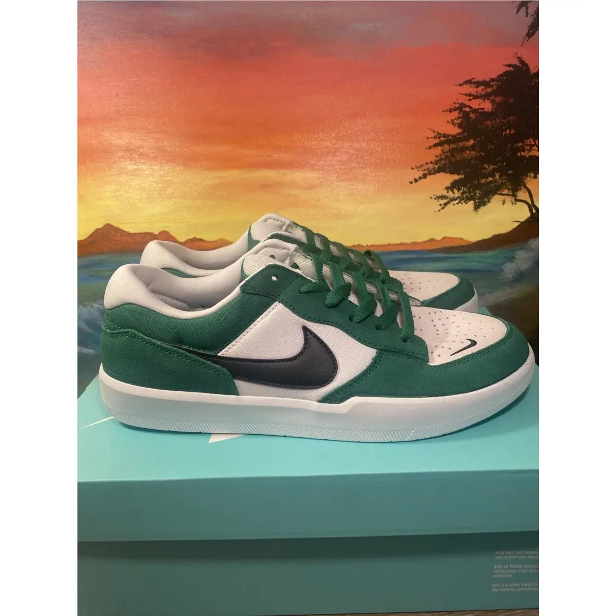Nike shoes - Nike Force 58 SB - Force - DV5477-300 - Green 0