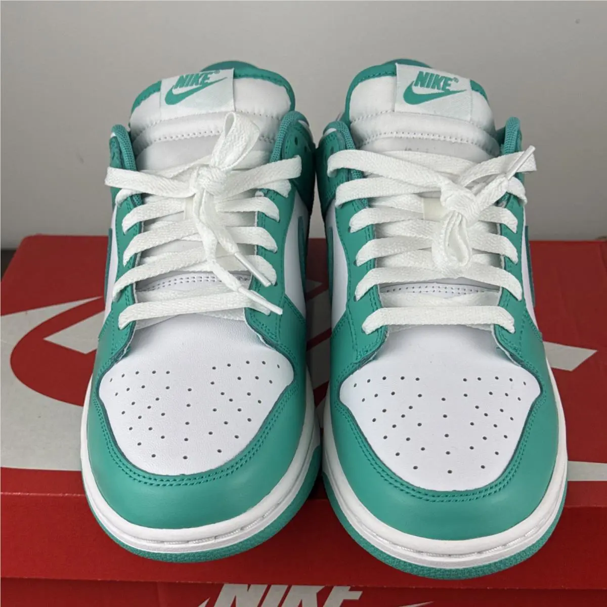 Nike shoes - Nike Dunk - Dunk - DV0833-101 - Blue 2