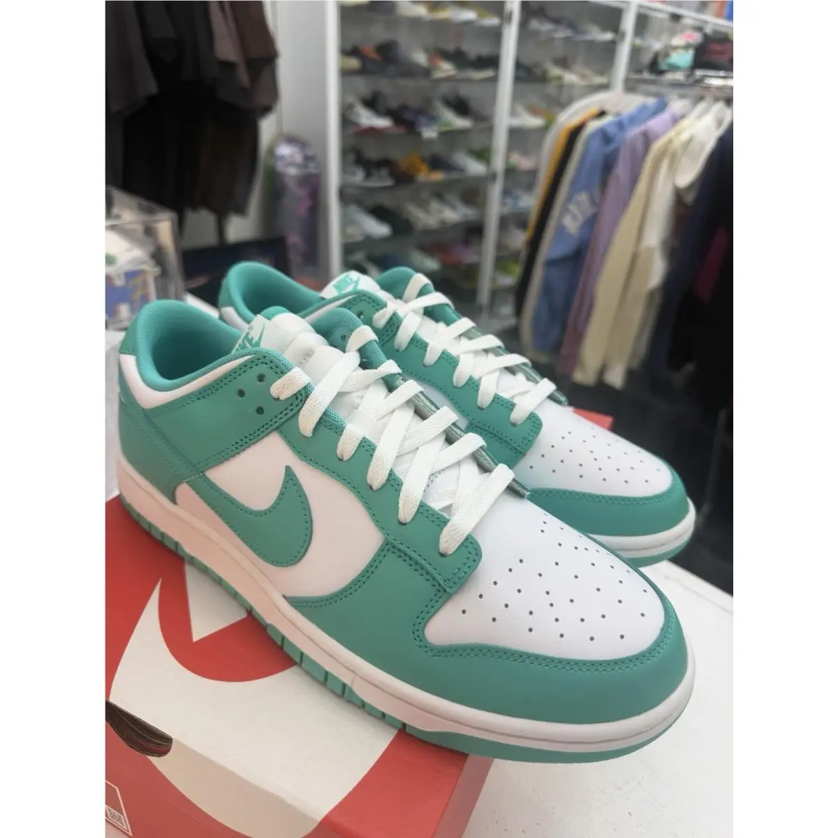 Nike shoes - Nike Dunk - Dunk - DV0833-101 - Blue 0
