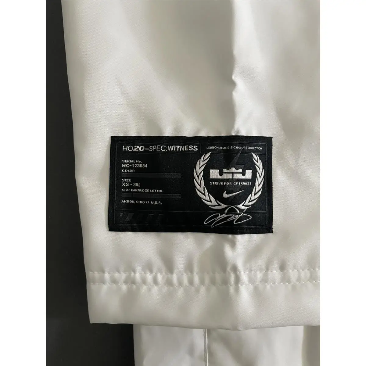 Nike clothing - Nike LeBron James Signature Collection - CK6771-121 - White (UPC: 0194498022061) 2