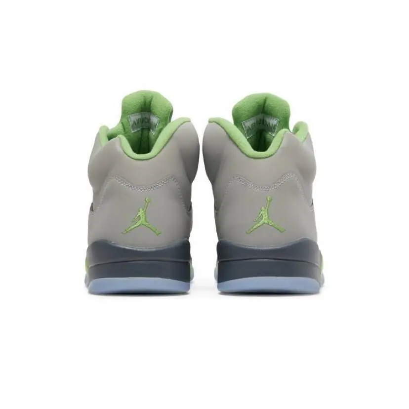 Nike shoes - Air Jordan 5 Retro - Air Retro - DM9014-003 - SILVER/GREEN BEAN-FLINT GREY 0
