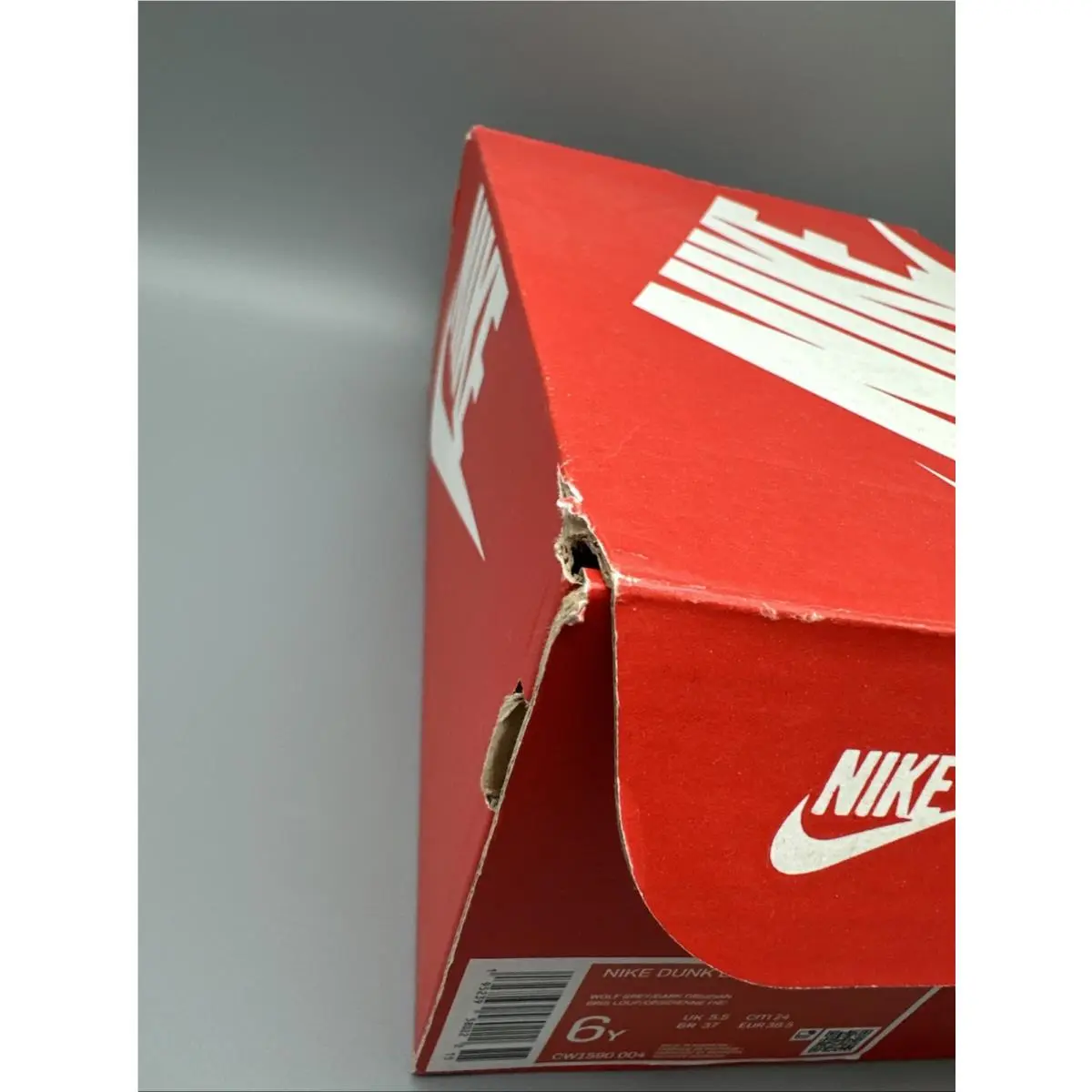 Nike shoes - Nike Dunk - Dunk - DD1391-003 - Blue 10