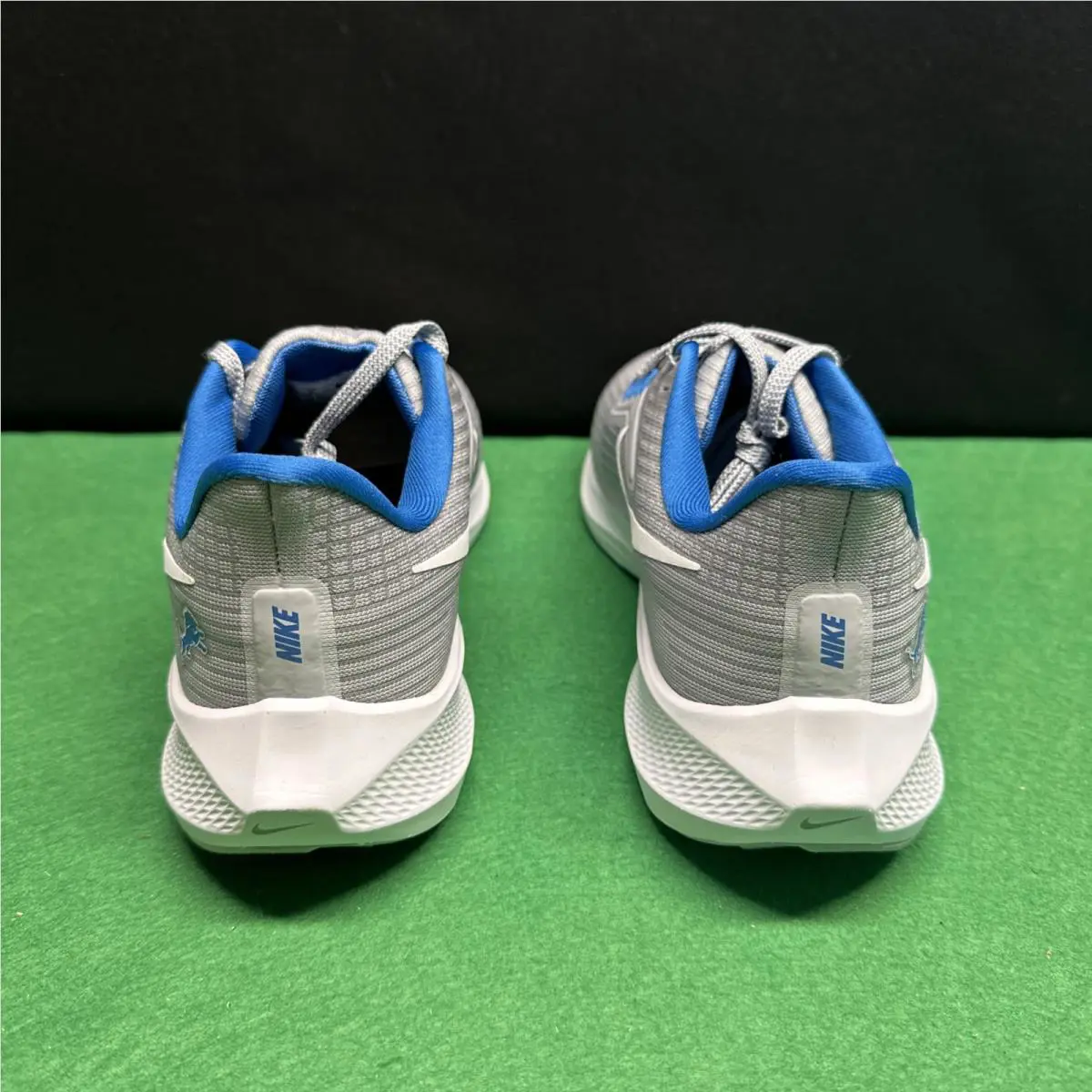 Nike shoes - Nike Air Zoom Pegasus 39 - DR2042-001 - Gray 2