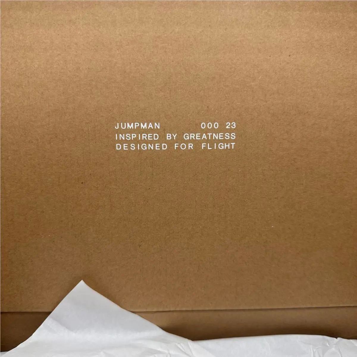 Nike shoes - Jordan Air NFH - Air NFH - DA1165-006 - Black 11