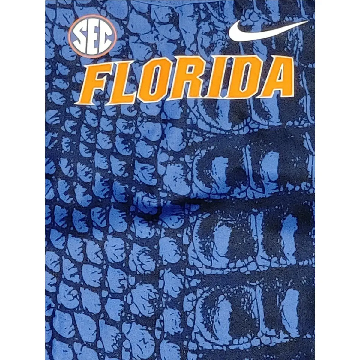 Nike clothing - Nike Dri-Fit - Blue 1