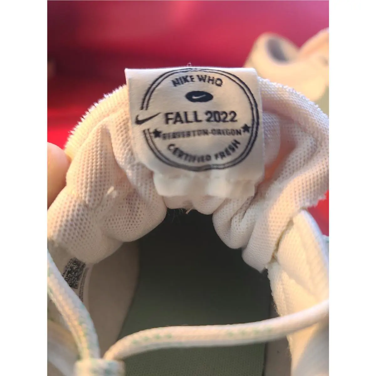 Nike shoes - Blazer Low 77 Prm - Blazer Low Prm - Do9799100 - White 10