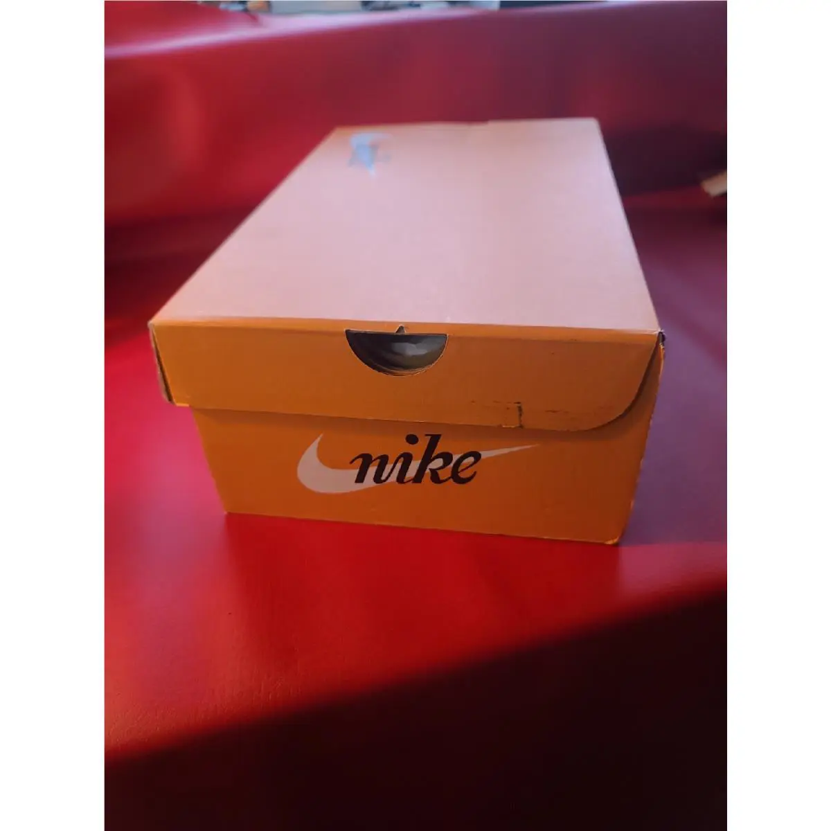 Nike shoes - Blazer Low 77 Prm - Blazer Low Prm - Do9799100 - White 19