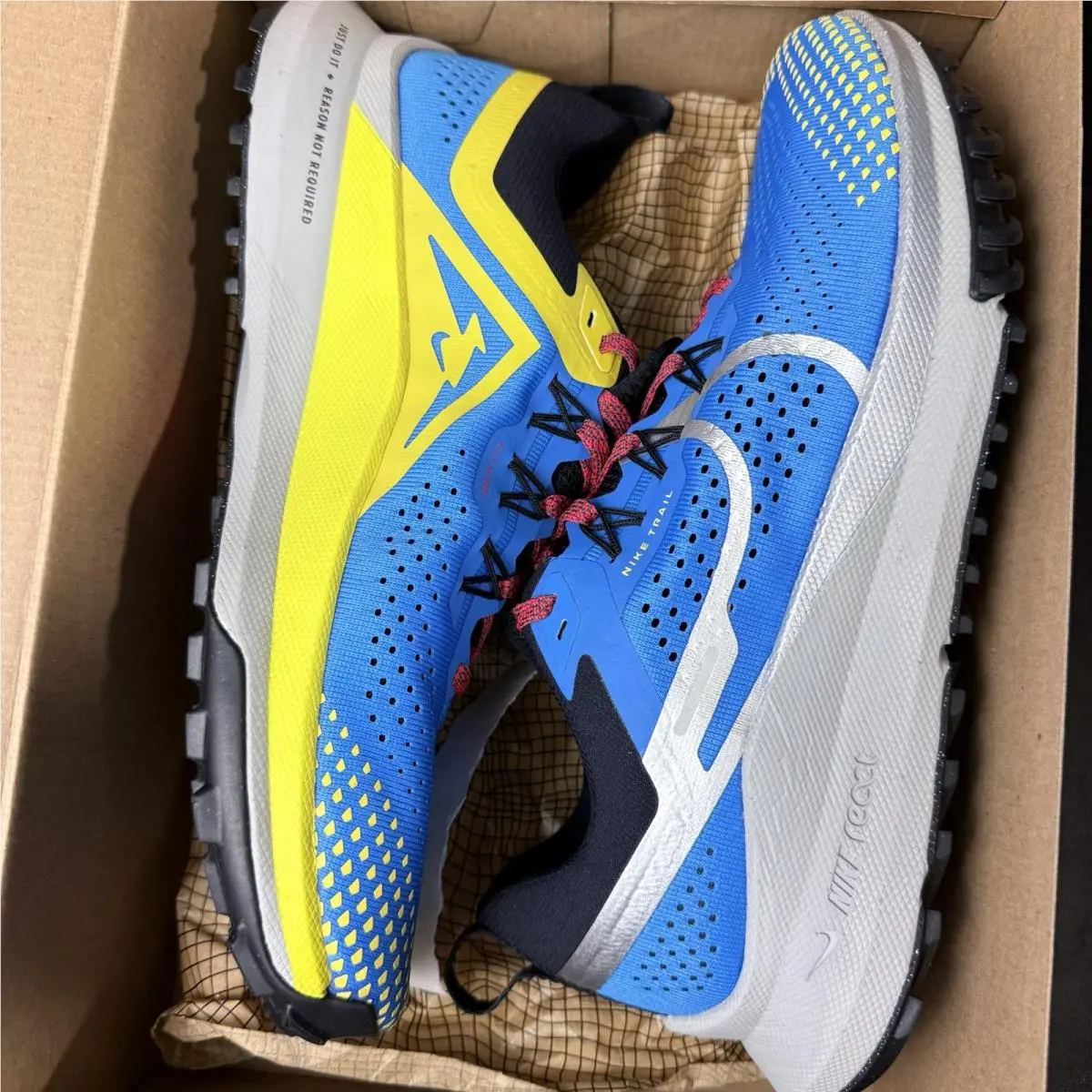 Nike shoes - Nike Pegasus Trail 4 DJ6158-401 - DJ6158-401 - Blue 10