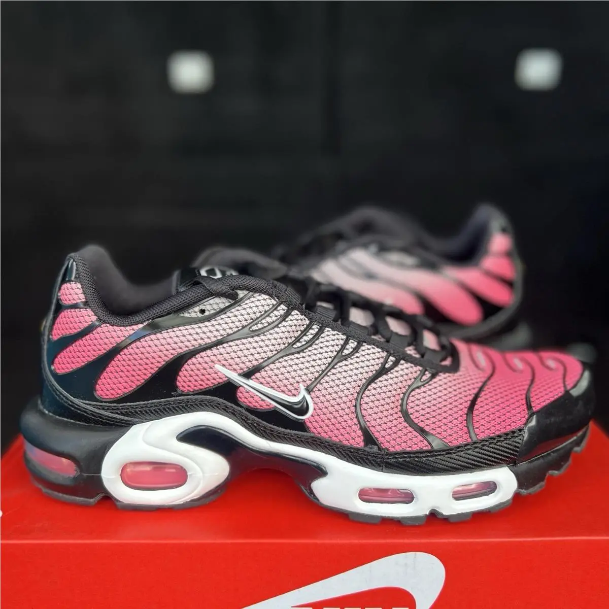 Size 10.5 - Nike Air Max Plus “all Day” - HF3837-600
