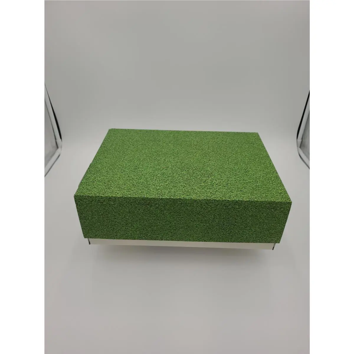 Nike shoes - Air Jordan 1 - Air - FJ0849-001 - Green 18