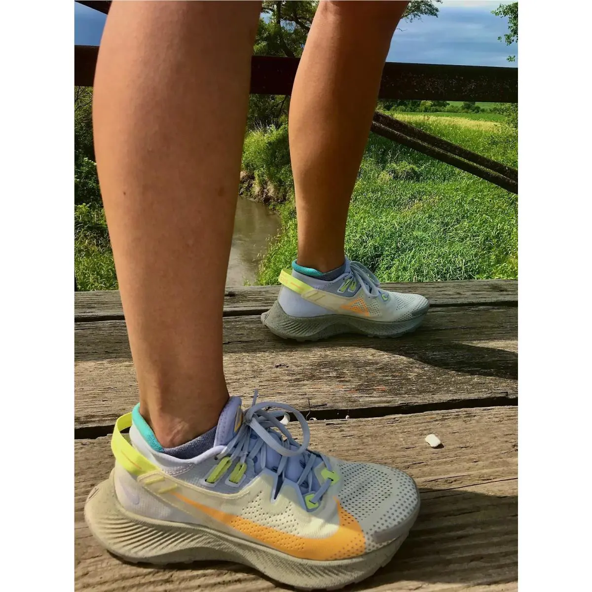 Nike shoes - Nike Pegasus - Pegasus - CK4309-001 - Pure Platinum/Fossil/Lime Light/Laser Orange 15