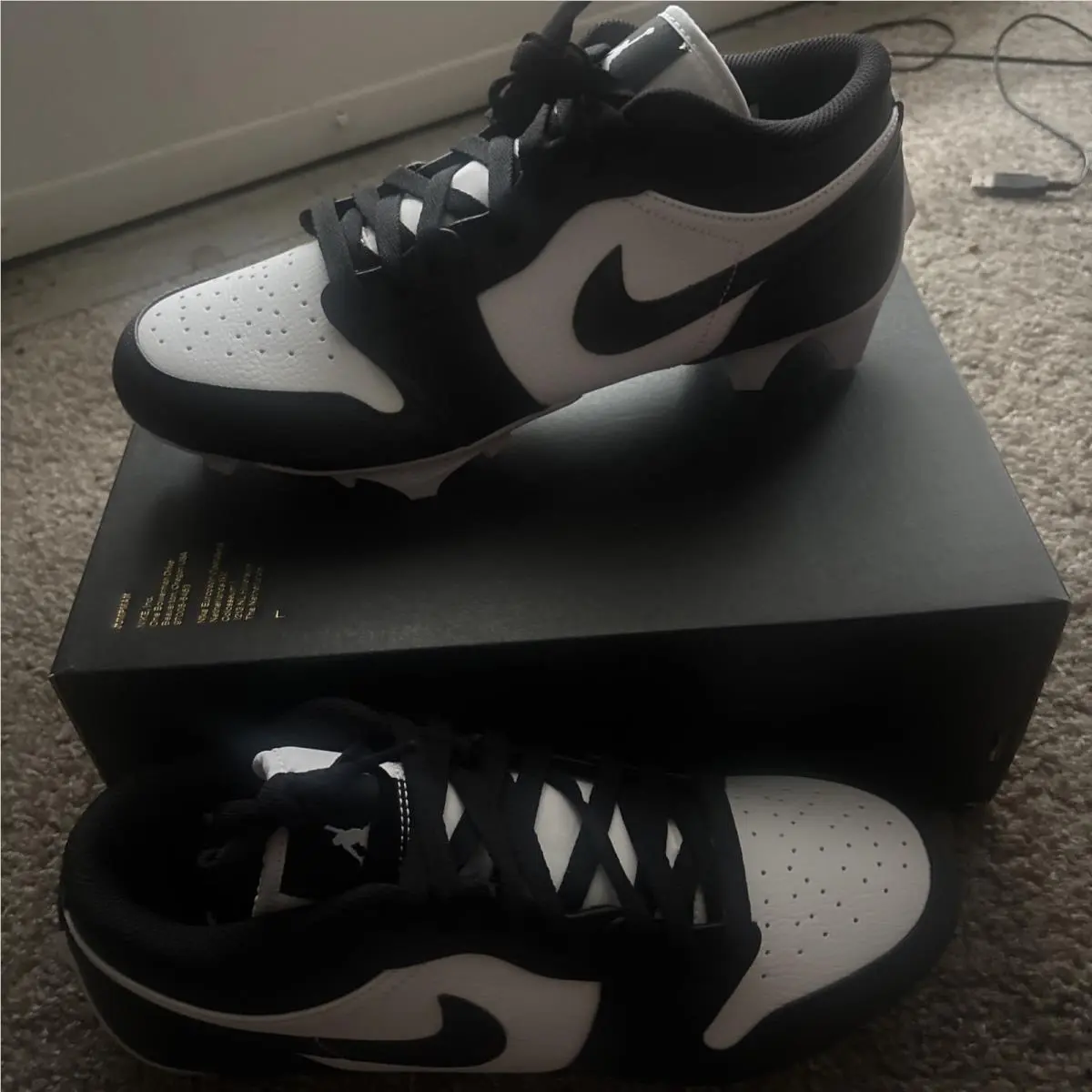 Nike shoes - Jordan 1 Low - Low - FJ6245-100 - Black 0