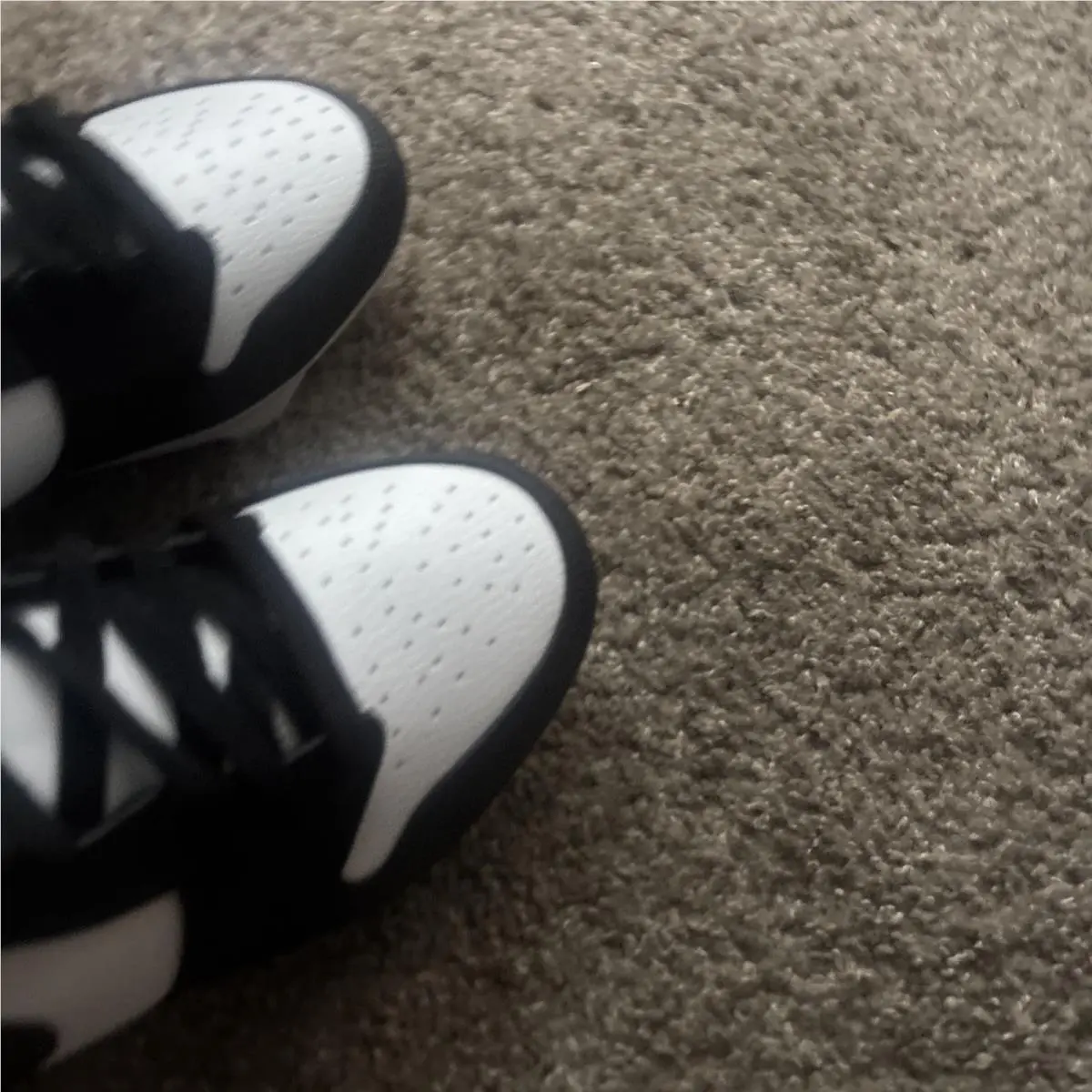 Nike shoes - Jordan 1 Low - Low - FJ6245-100 - Black 6