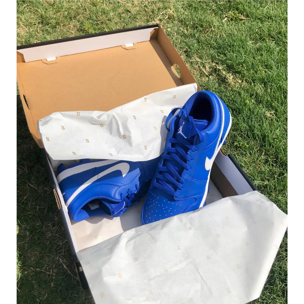 Nike shoes - Jordan 1 Low - Low - CJ8524-401 - Game Royal 3