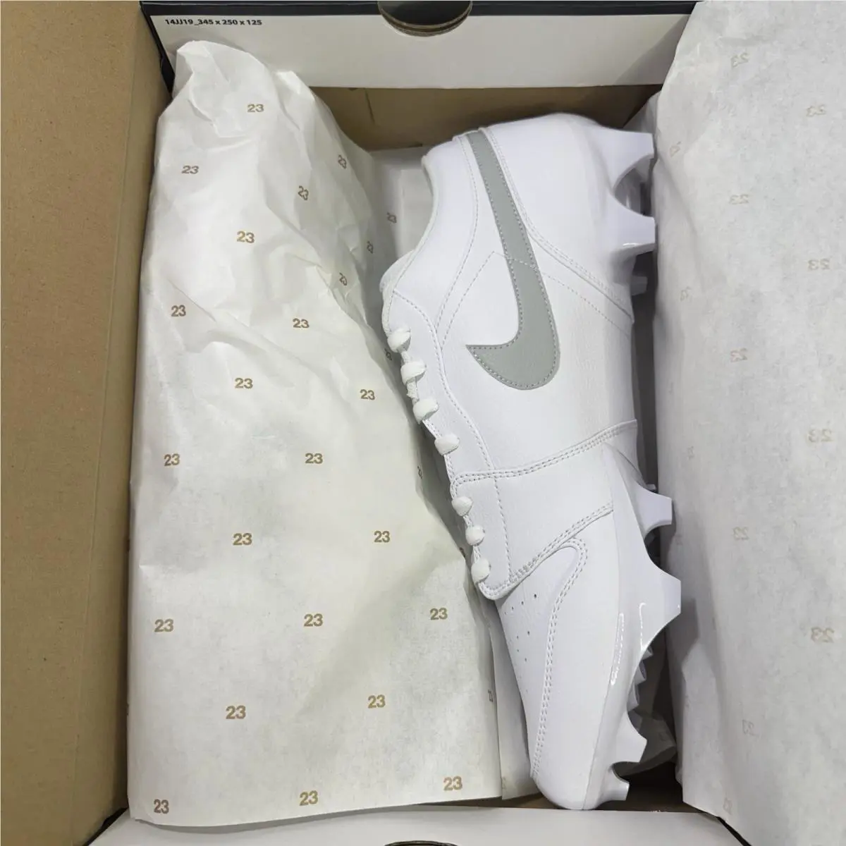 Nike shoes - Nike Jordan 1 - FJ6245-101 - White 1
