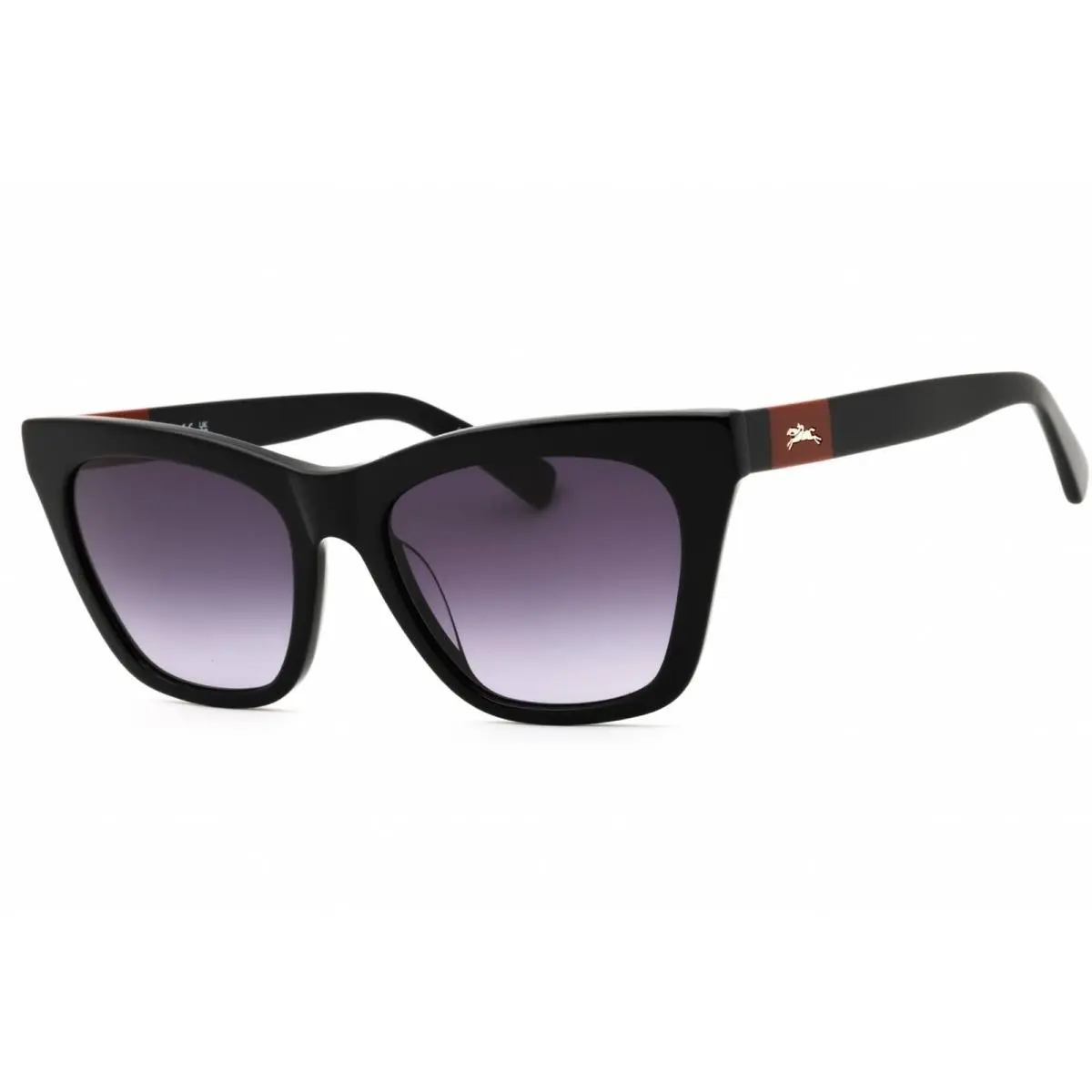 Longchamp Women`s Sunglasses Black Acetate Cat Eye Full Rim Frame LO715S 001