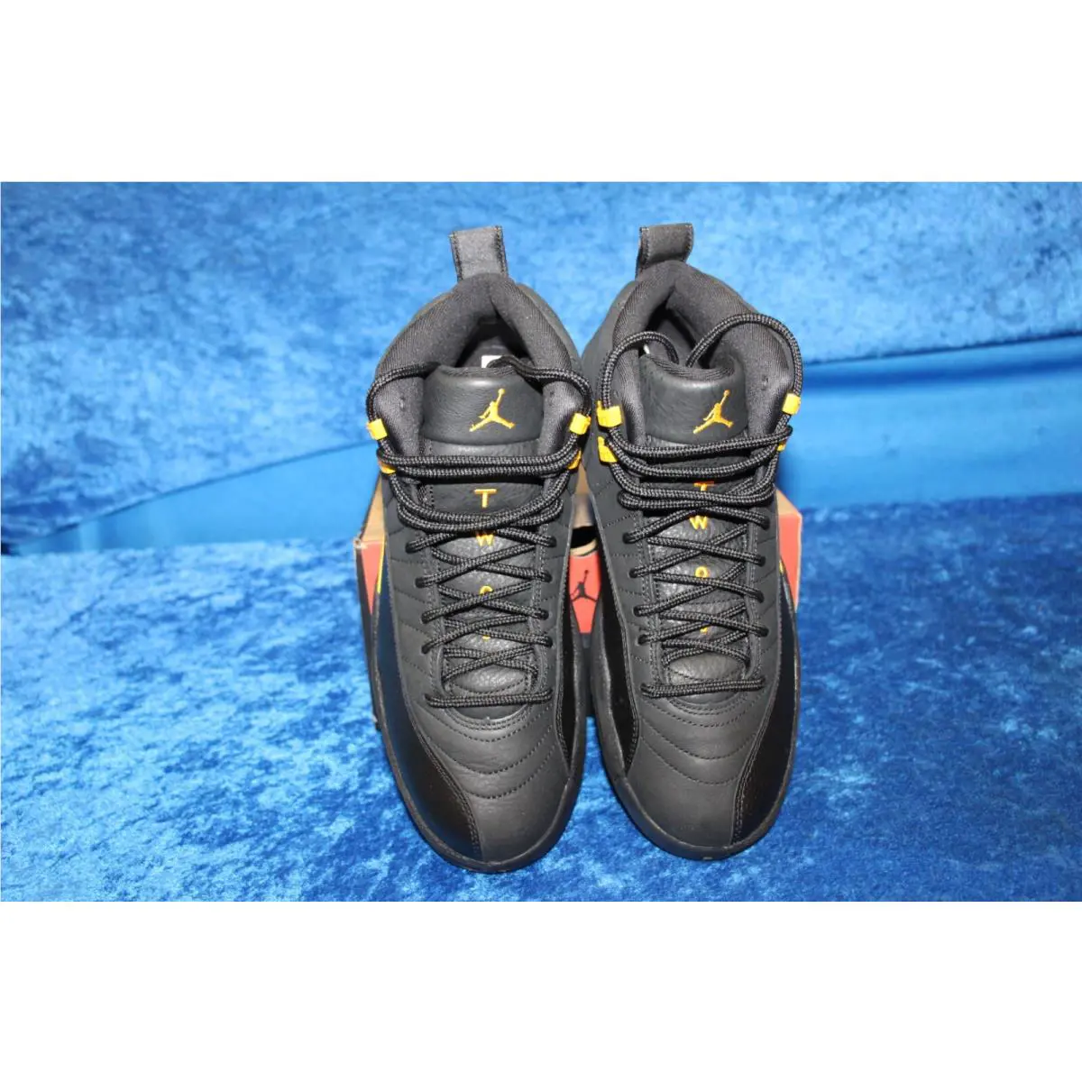 Nike shoes - Air Jordan 12 - Air - CT8013-071 - Black 1