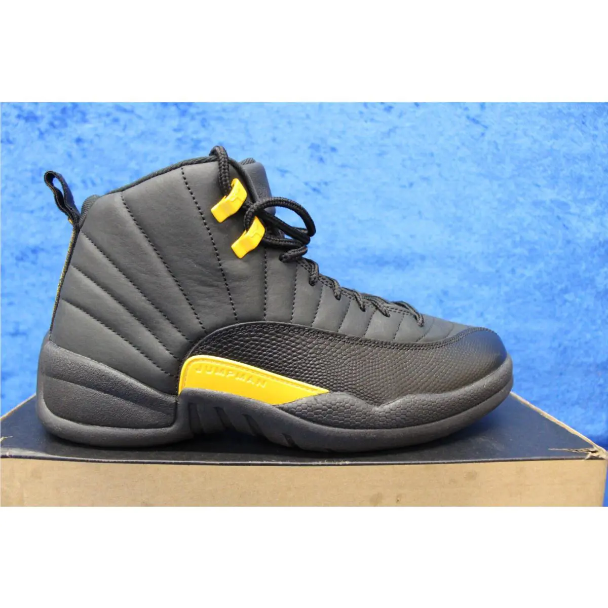 Nike shoes - Air Jordan 12 - Air - CT8013-071 - Black 2
