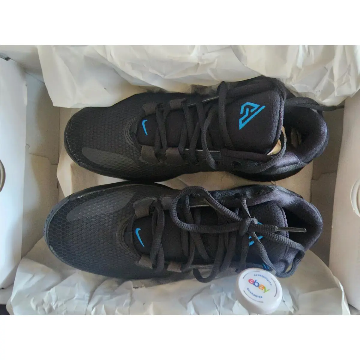 Nike shoes - Nike Zoom Freak 1 - Zoom Freak - BQ5422-004 - Black 1