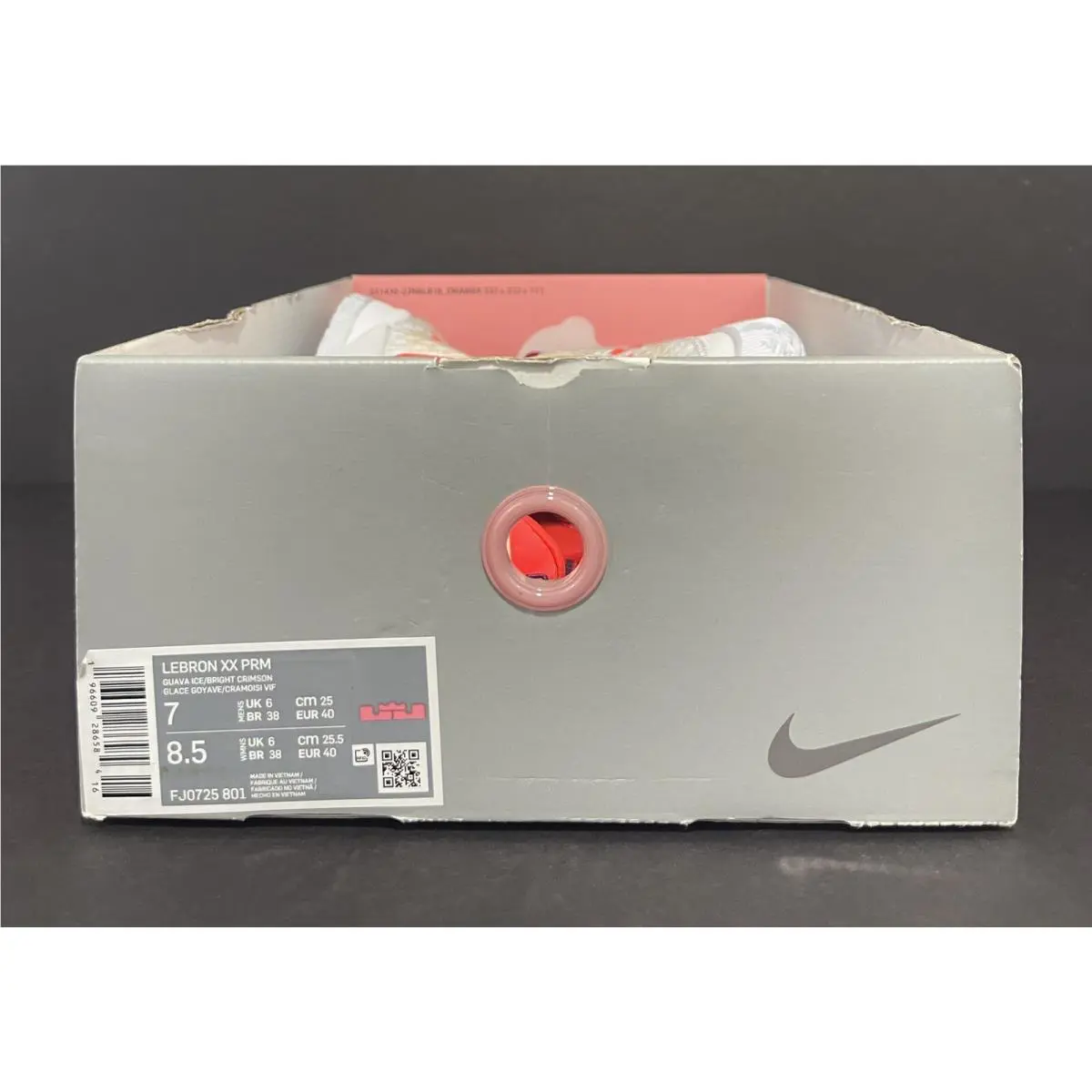 Nike shoes - Nike LeBron - LeBron - Fj0724801 - White (UPC: 196609286225) 10