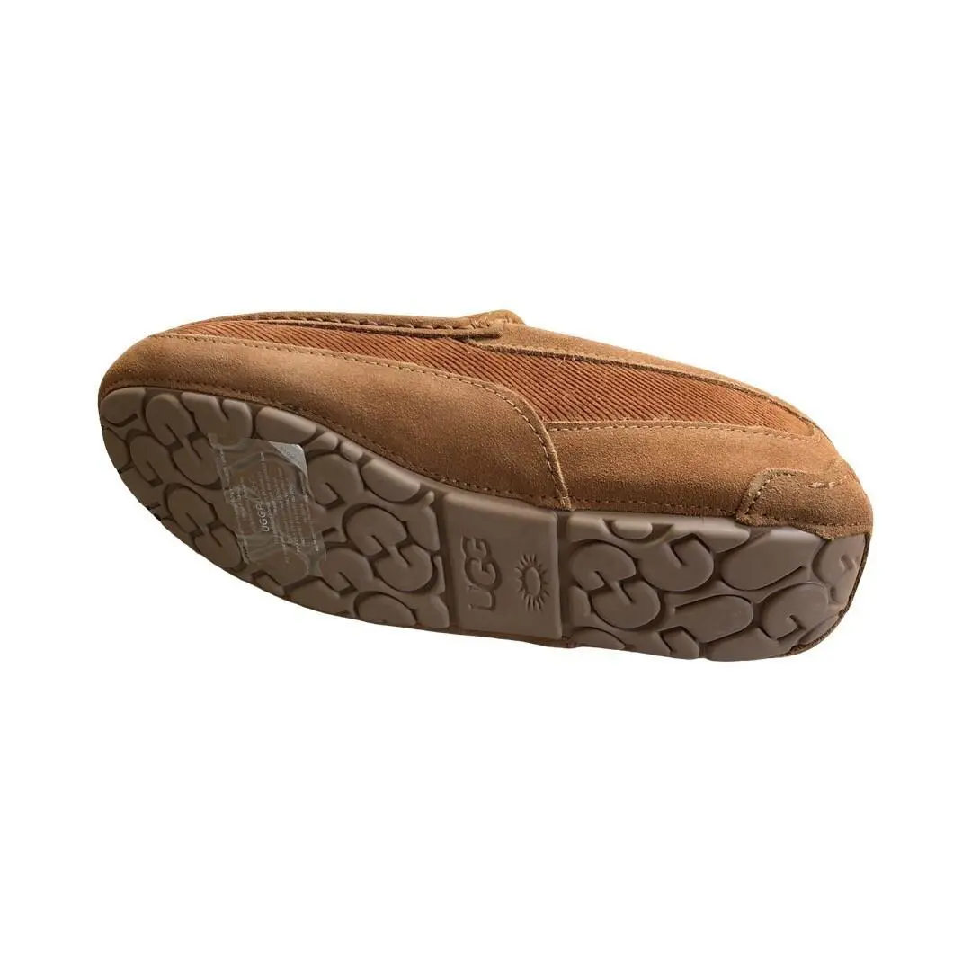 UGG shoes - Chestnut 2