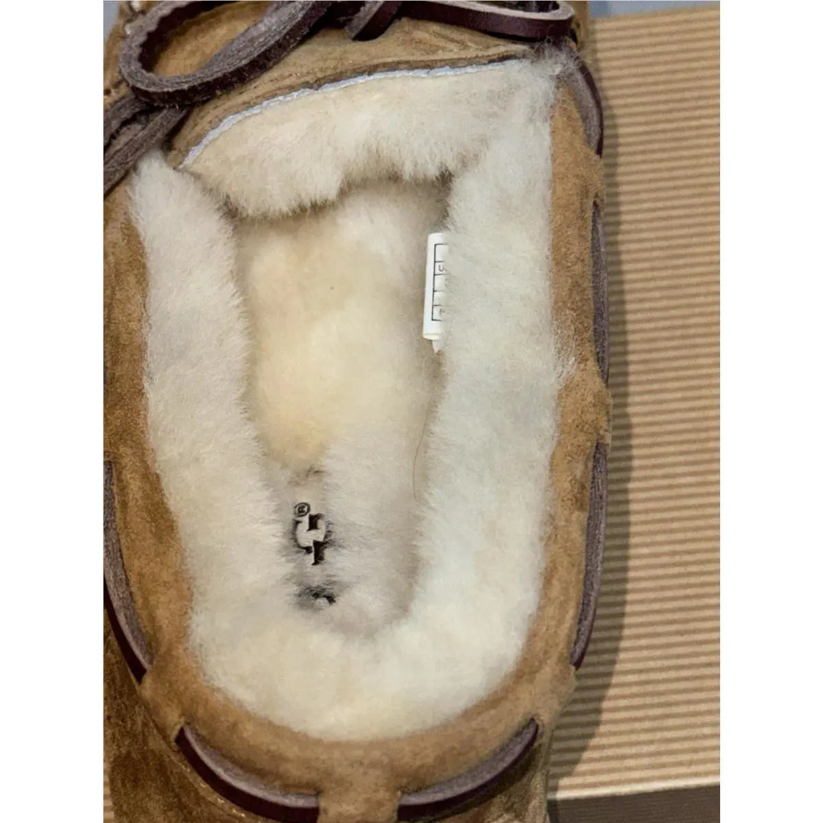UGG shoes - UGG Dakota - Dakota - Chestnut 6