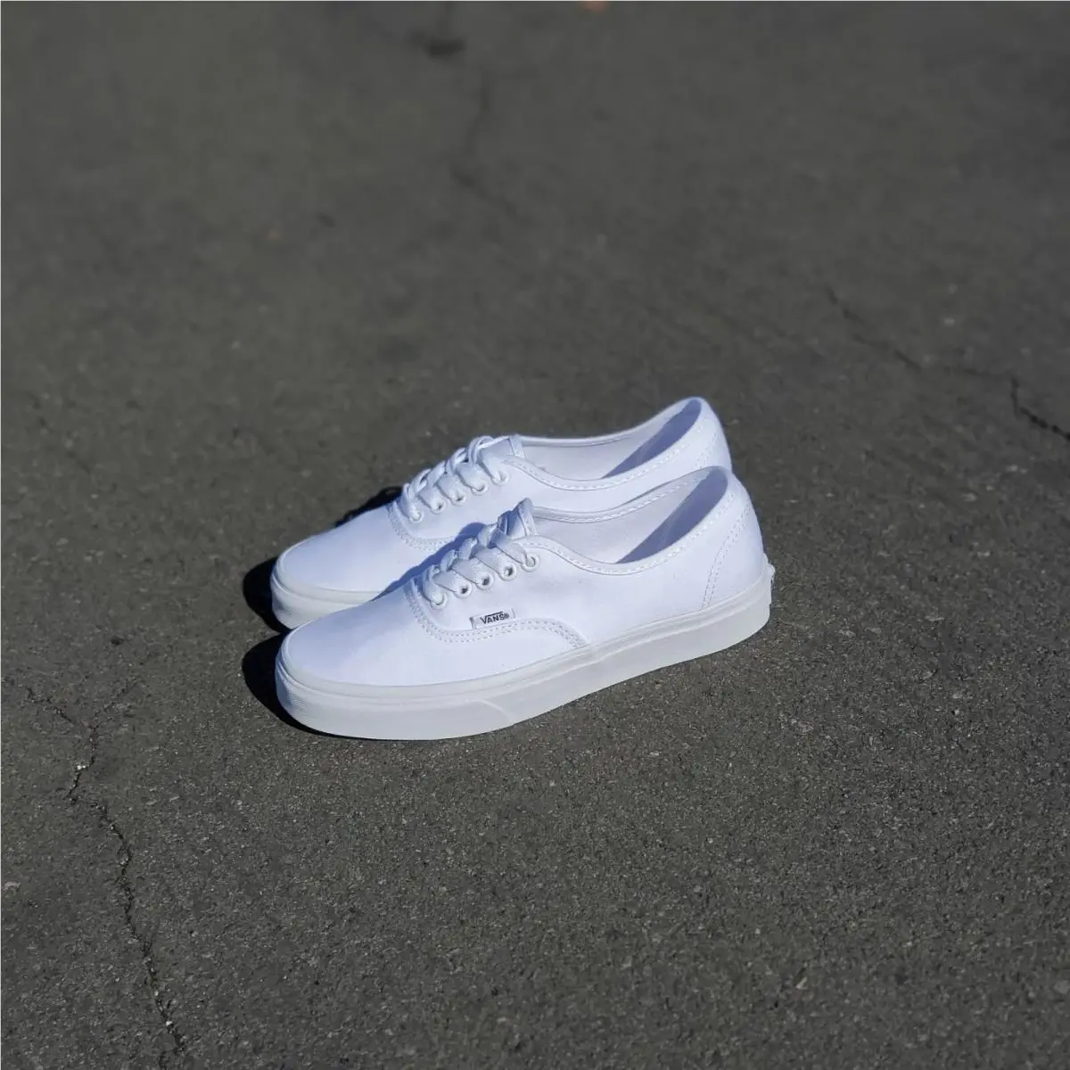 Vans shoes - VANS Authentic - Authentic - 658100946751 - White 4