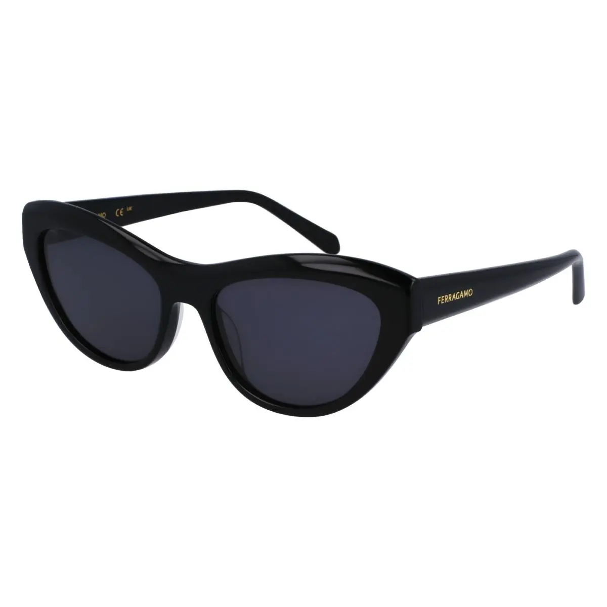 Salvatore Ferragamo Women`s 55mm Cat-eye Sunglasses Black SF1103S-001